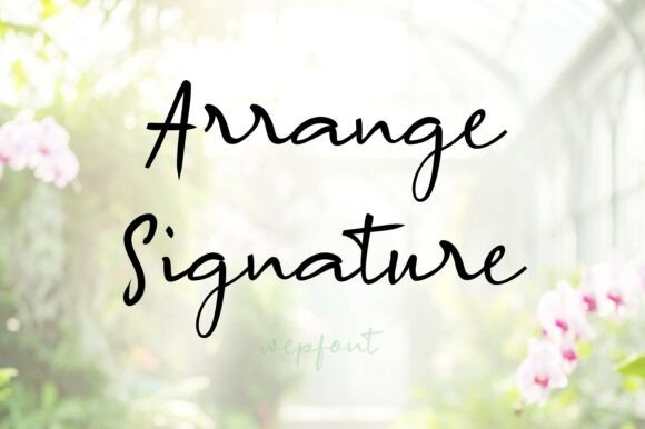 Arrange Signature: A Premium Script Font for Campaigns