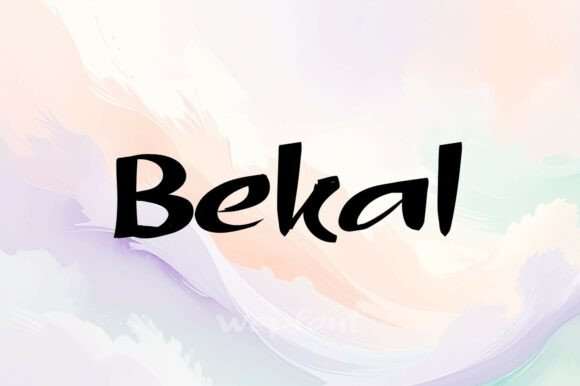 Bekal: A Playful Script Font for Modern Web Design