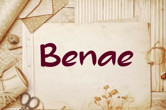 Benae: A Designer’s Honest Review for Real Projects