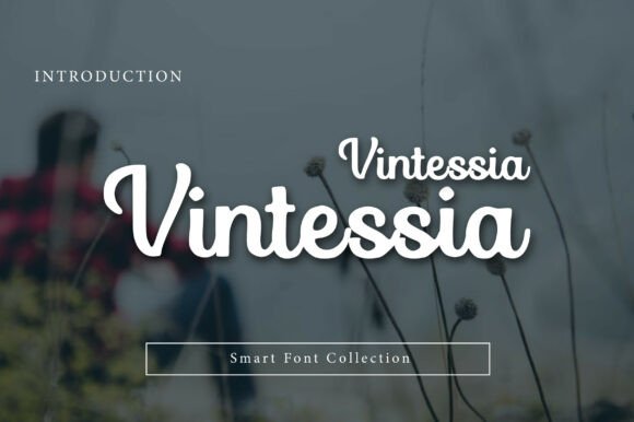 Vintessia: A Designer’s Honest Take on Script Amp’s Latest Release