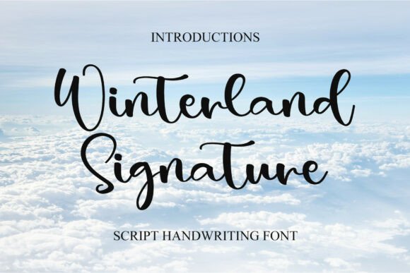 Winterland Signature: A Designer’s Honest Review